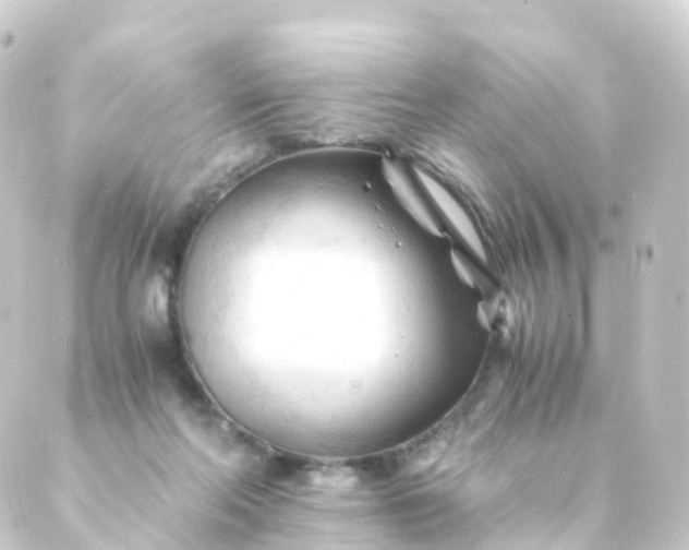 X0000088910214200706221937