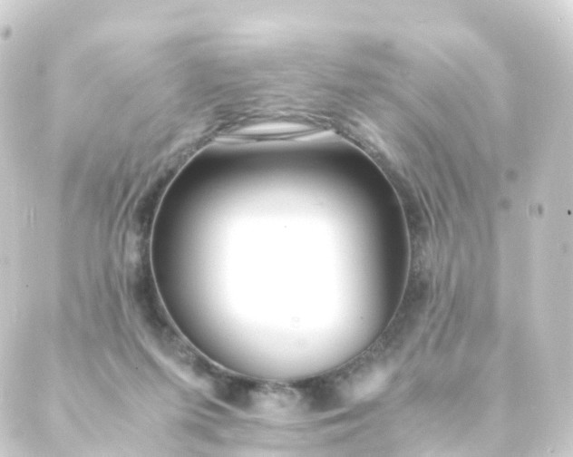 X0000088910215200706221937