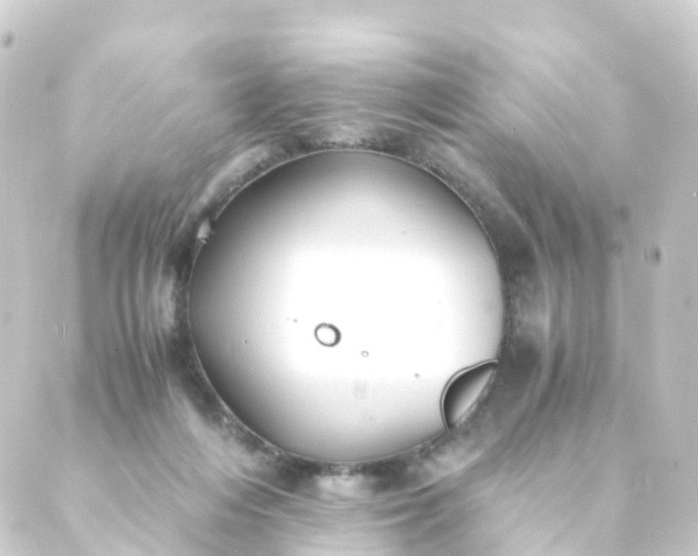 X0000088910216200706221937