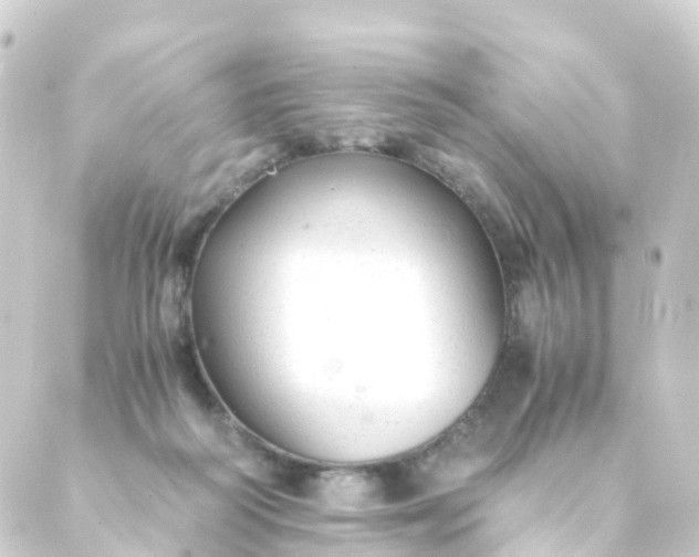 X0000088910218200706221937