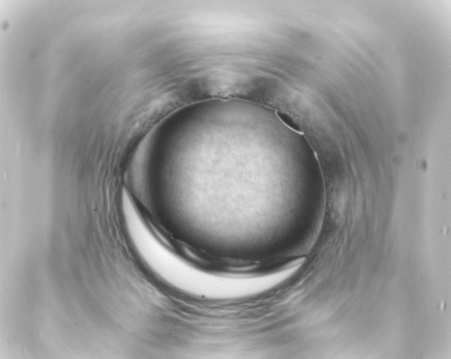 X0000088910219200706221937