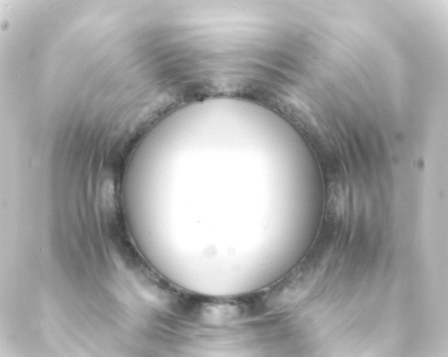 X0000088910220200706221937