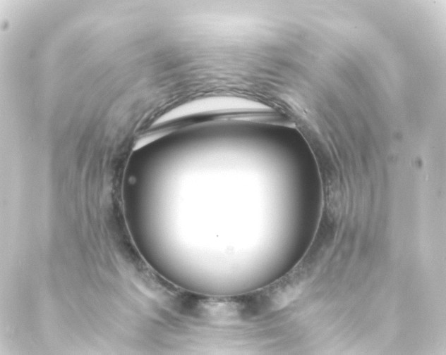 X0000088910221200706221937