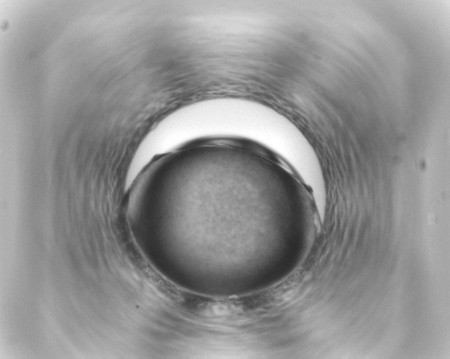 X0000088910223200706221937