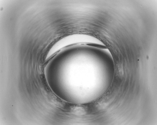 X0000088910224200706221937