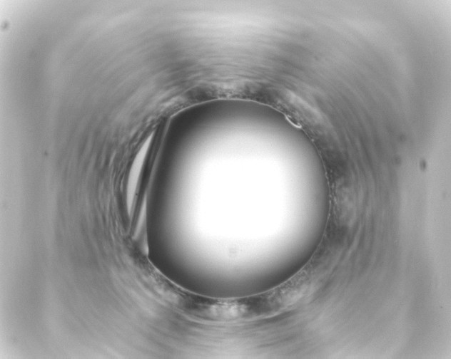 X0000088910225200706221937