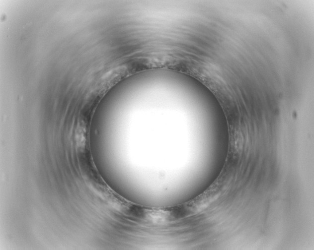 X0000088910226200706221937