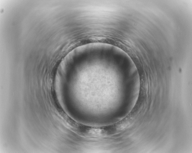 X0000088910227200706221937