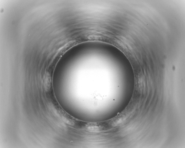 X0000088910228200706221937