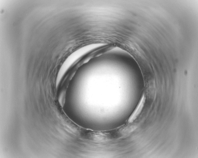 X0000088910229200706221937