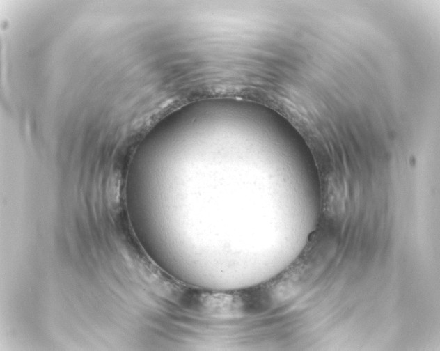 X0000088910230200706221937