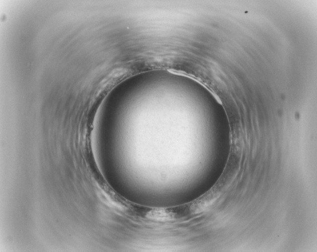 X0000088910231200706221937