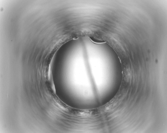 X0000088910232200706221937