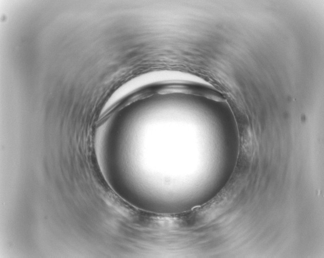 X0000088910233200706221937