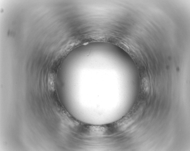 X0000088910234200706221937