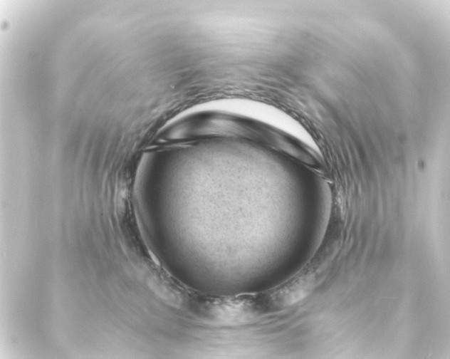 X0000088910235200706221937