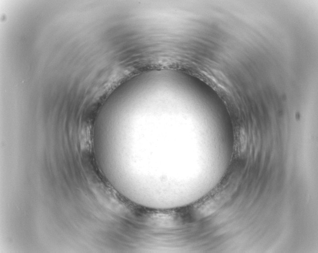 X0000088910236200706221937