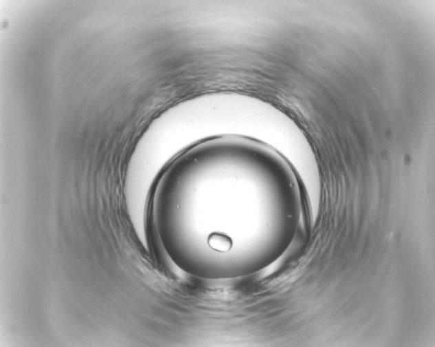 X0000088910237200706221937