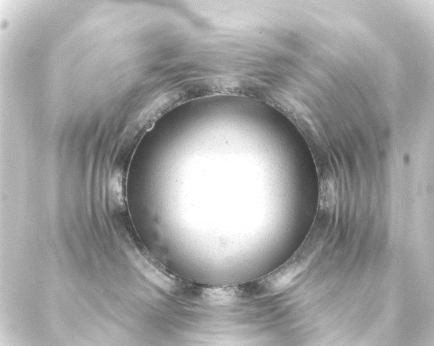 X0000088910238200706221937