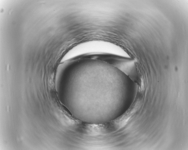 X0000088910239200706221937