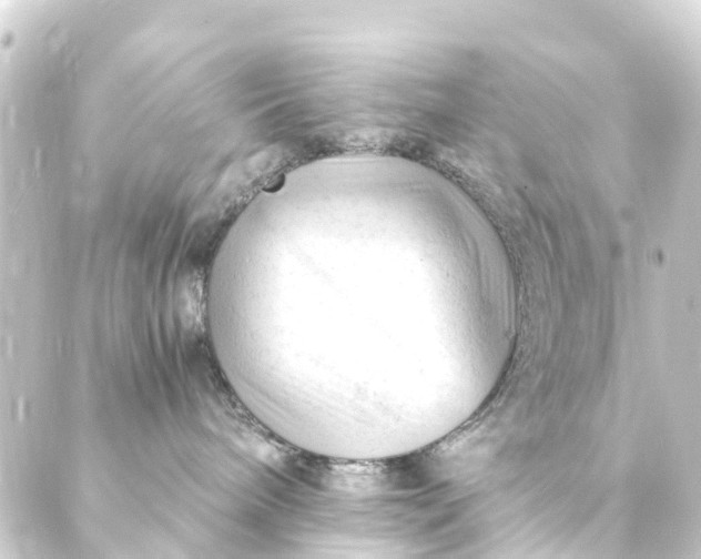 X0000088910240200706221937