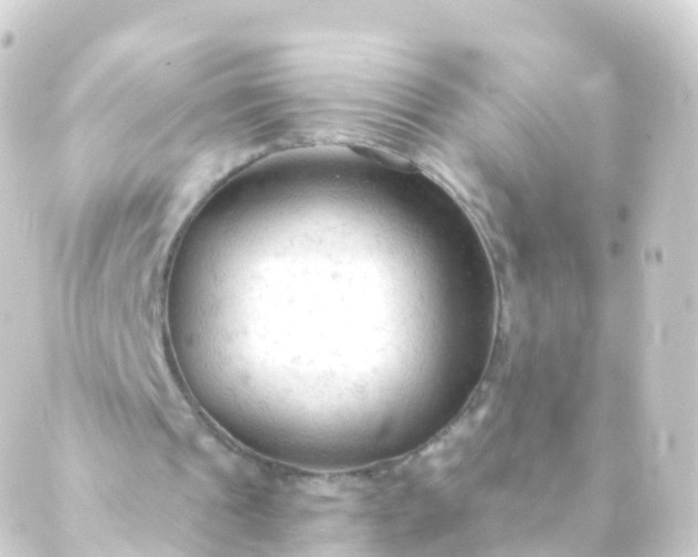 X0000088910241200706221936