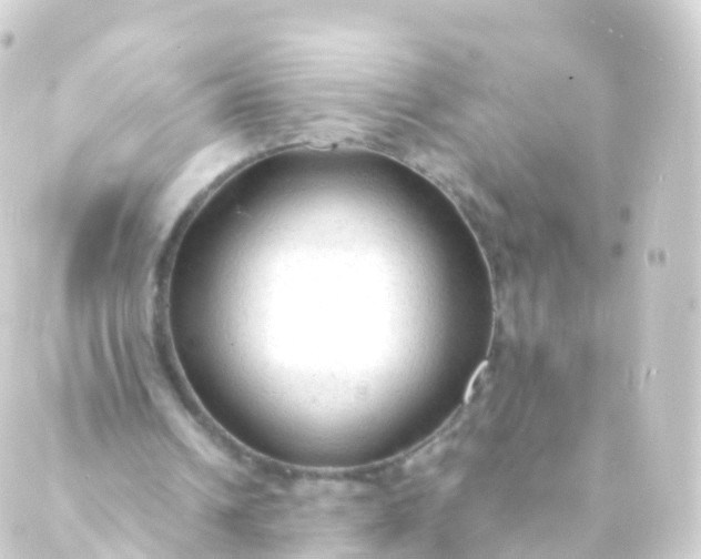 X0000088910242200706221936