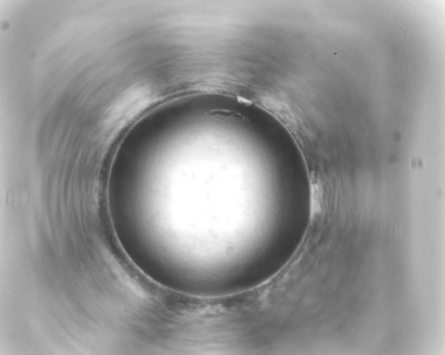 X0000088910243200706221936