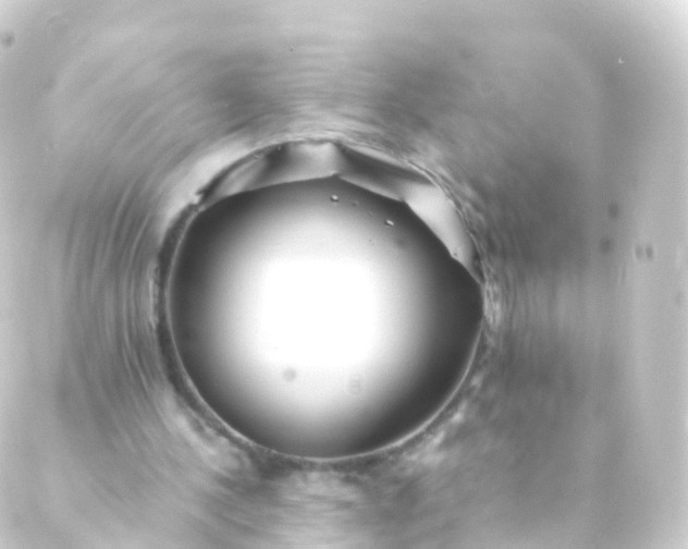 X0000088910244200706221936