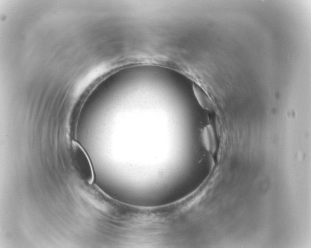 X0000088910246200706221936