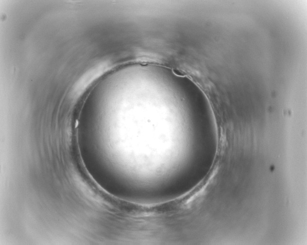 X0000088910247200706221936