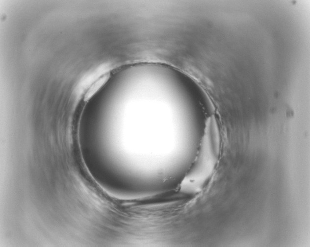 X0000088910248200706221936