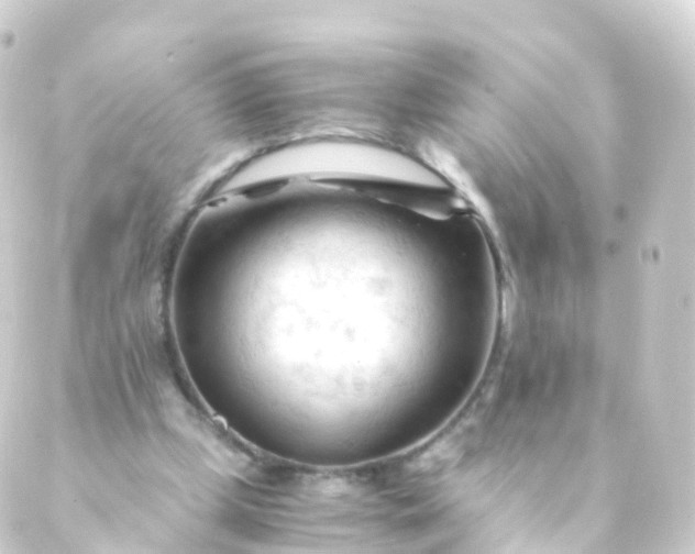 X0000088910249200706221936