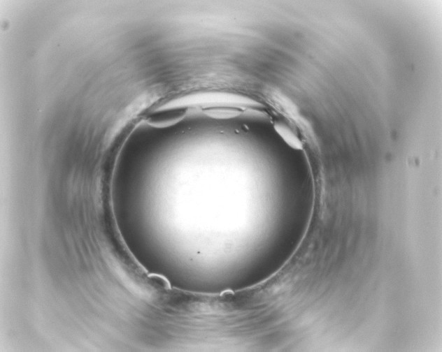 X0000088910250200706221936