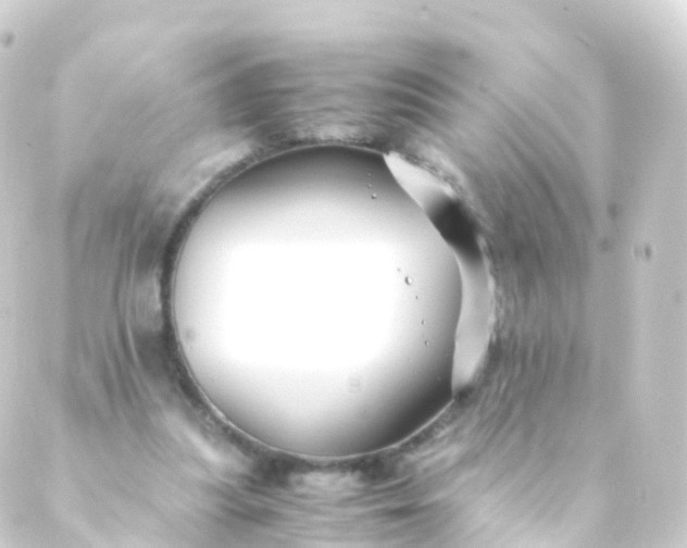 X0000088910251200706221936