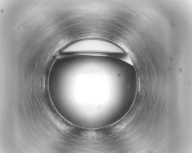 X0000088910253200706221936