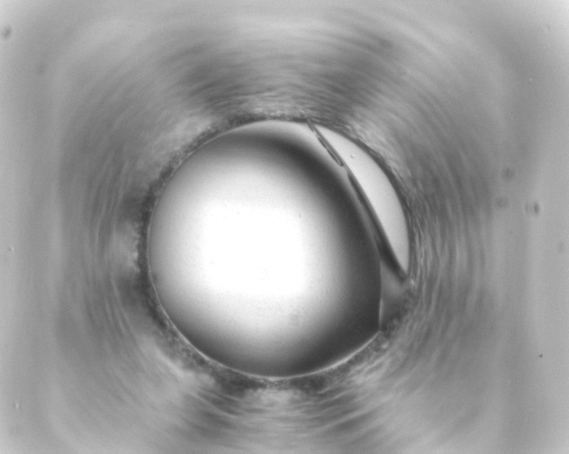 X0000088910255200706221936