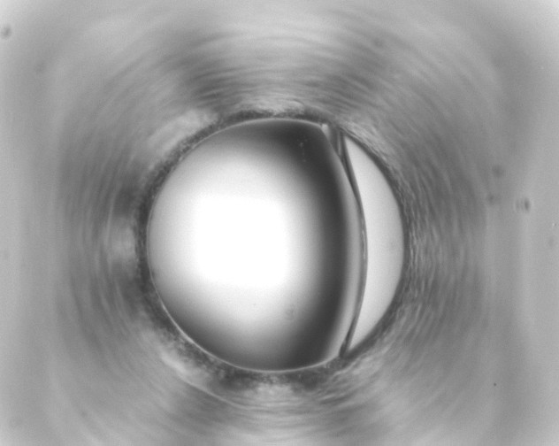 X0000088910256200706221937