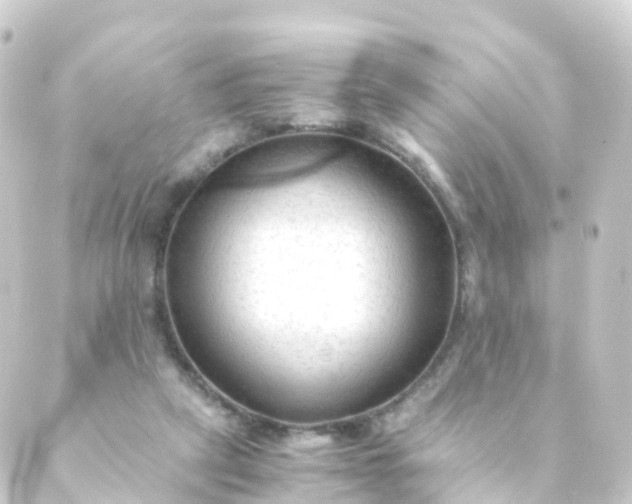 X0000088910257200706221937