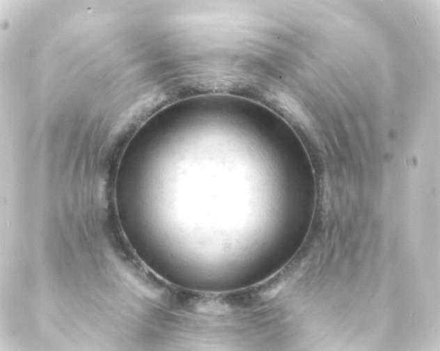 X0000088910258200706221937