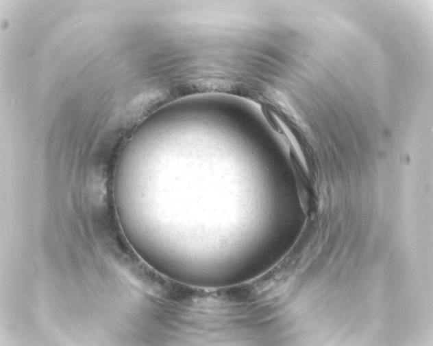 X0000088910259200706221937