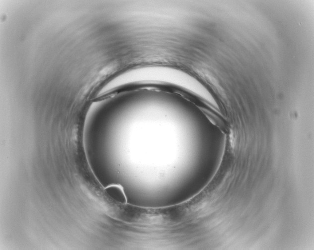 X0000088910260200706221937