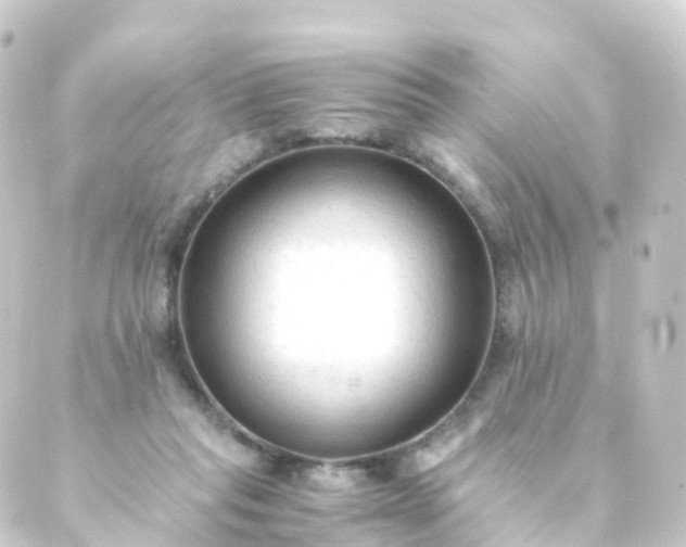 X0000088910261200706221937