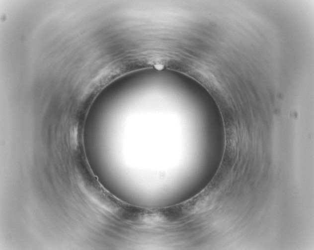 X0000088910262200706221937