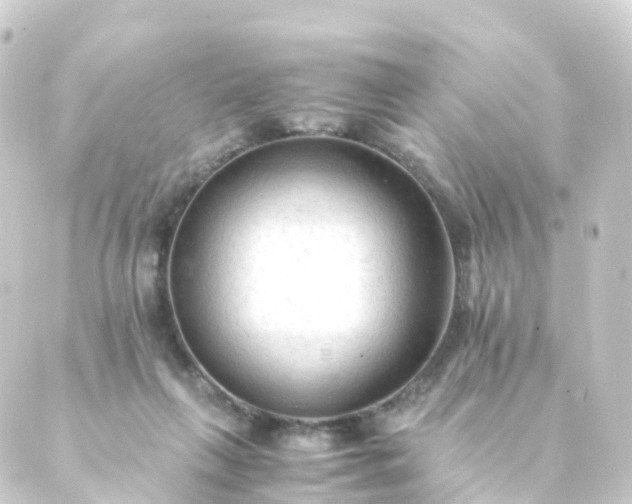 X0000088910263200706221937