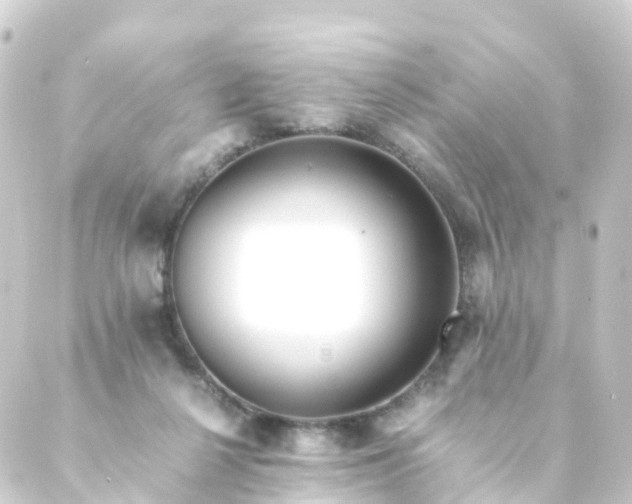 X0000088910264200706221937