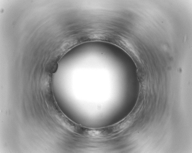 X0000088910265200706221937