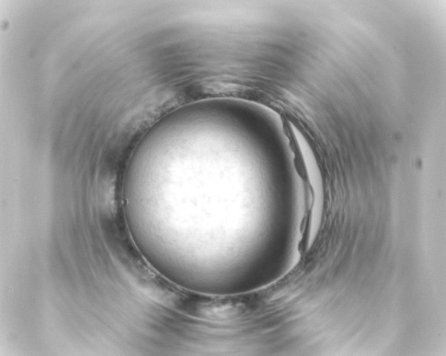 X0000088910267200706221937