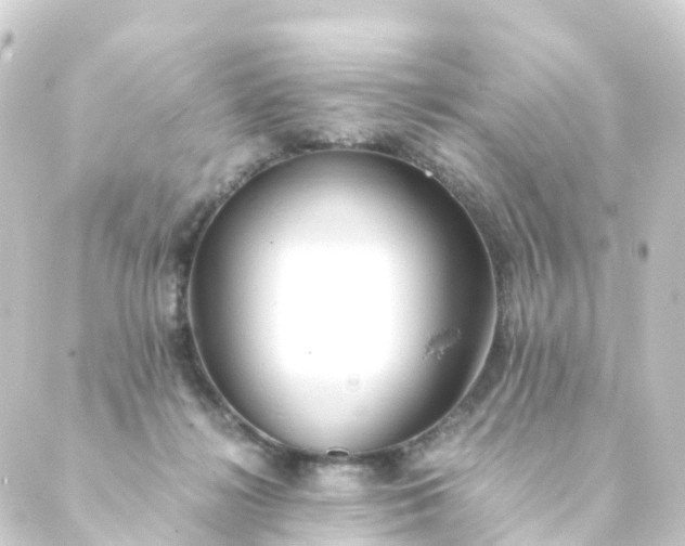 X0000088910268200706221937