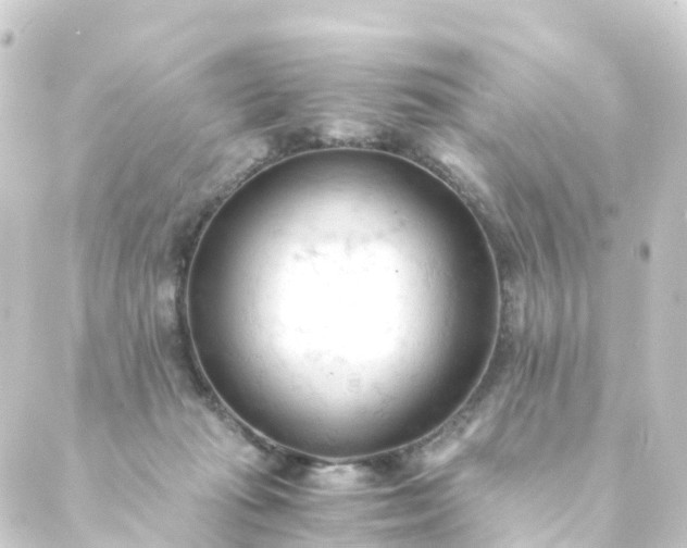 X0000088910269200706221937